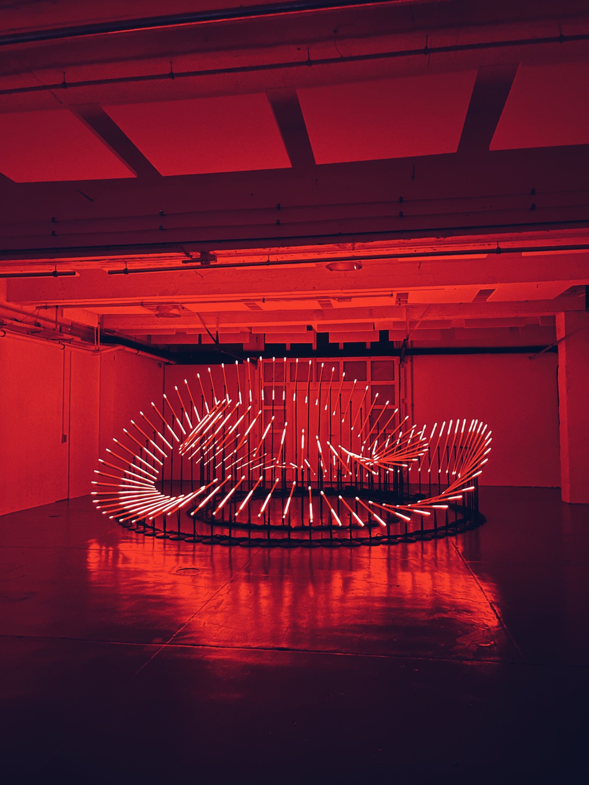Photography of a kinectic installation in a wave form with red lights.
